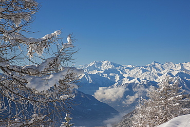 Bare trees by mountains in Piedmont, Italy