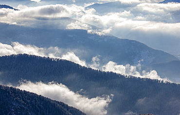 Fog over forest covered mountains in Piedmont, Italy