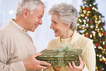 Senior couple holding Christmas gift