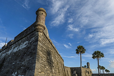 Palm trees by Castillo de San Marcos in St. Augustine, USA