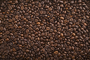 Close up of coffee beans