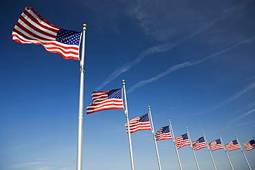 Flags around Washington Memorial Washington DC USA