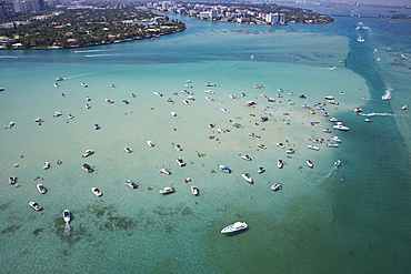 Aerial view of boats in sea in Miami, Florida, United States of America