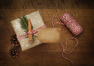 Carrot and pine frond tied to Christmas present