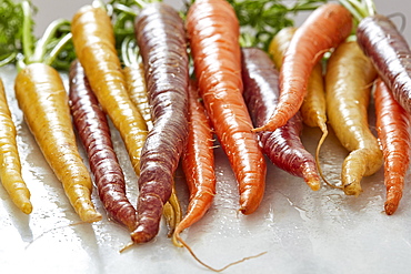 Variety of carrots