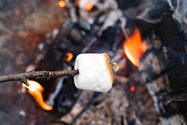 Close up of Marshmallow on stick roasting over fire 