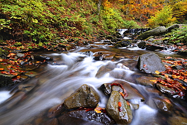 Ukraine, Zakarpattia region, Carpathians, Verkhniy Shypot waterfall, Blurred waterfall in autumn scenery