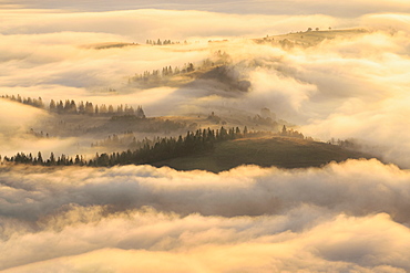 Ukraine, Zakarpattia region, Carpathians, Borzhava, Foggy hills of Carpathian Mountains at sunrise