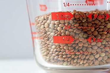 Lentils in measuring cup