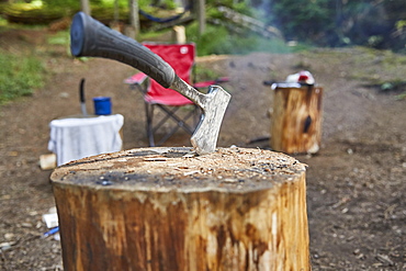 Hatchet in stump