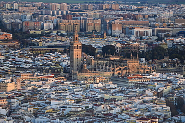 Spain, Andalusia, Seville, High angle view over Giralda Tower and Cathedral of Seville