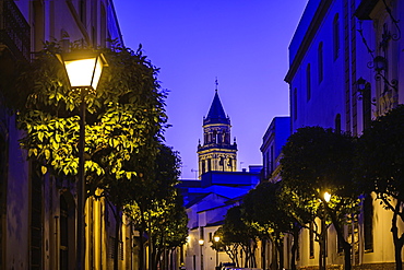 Spain, Andalusia, Seville, Old town street at dusk