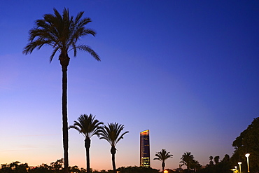 Spain, Andalusia, Seville, View along Paseo Alcalde Marques De Contadero