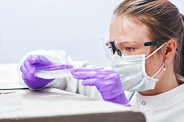 Female technician working in laboratory