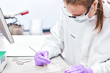 Female technician working with tests