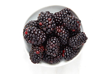 Blackberries in bowl