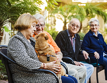 Senior people sitting in chairs and holding service dog