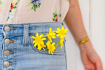 Close-up of woman with yellow flowers in jeans pocket