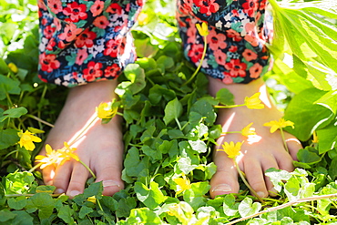 Close-up of girls (6-7) bare feet standing on meadow with yellow flowers