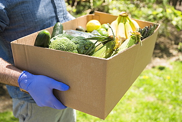 Delivery person holding box with fruit and vegetables