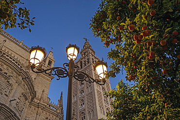 Spain, Seville, Low angle view of Giralda Tower and Seville cathedral at dusk