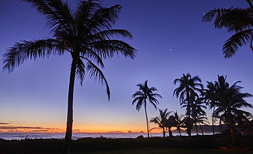 USA, Hawaii, O'ahu, Kailua Beach, Silhouette of palm trees at sunset