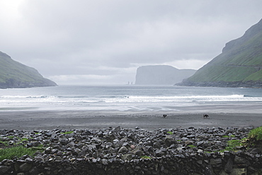 Denmark, Beach in foggy day