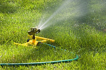 Sprinkler on a green lawn