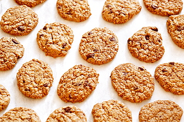 Oatmeal cookies with chocolate chips