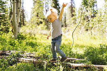 USA, Utah, Uinta National Park, Girl (2-3) walking on log in forest