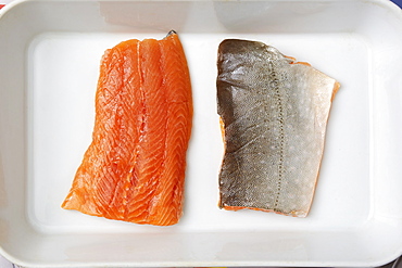 Raw salmon filets