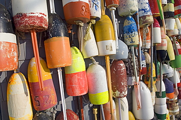 Colorful buoys hanging against wall