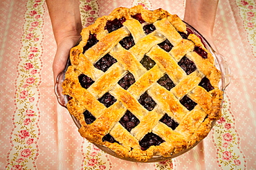 Close-up of hands holding freshly baked blueberry pie