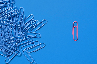 One pink paper clip and pile of blue paper clips