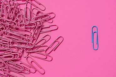 One blue paper clip and pile of pink paper clips