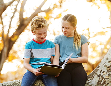 United States, California, Mission Viejo, Boy (10-11) and girl (12-13) sitting on tree branch and reading book