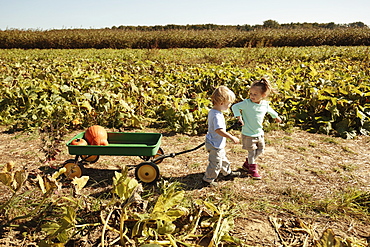 Brother and sister pulling pumpkin in cart