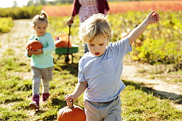 Boy carrying pumpkin