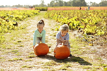 Brother and sister in pumpkin field