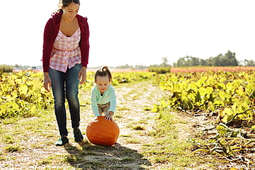 Mother and daughter in pumpkin field