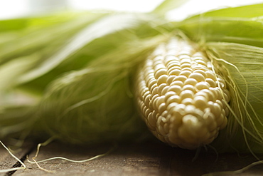 Surface level close up of corn cob on table