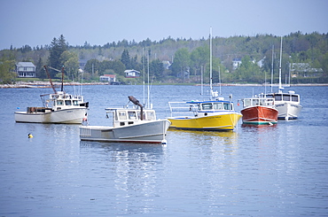 Lobster boats in a Maine harbor