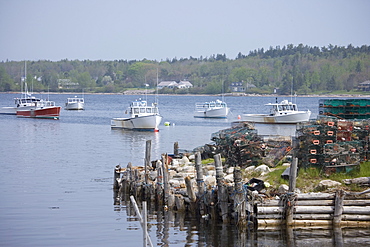 Lobster boats moored along the Maine coast