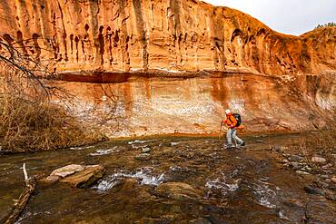 USA, Utah, Escalante, Woman wading across Escalante River in Grand Staircase-Escalante National Monument