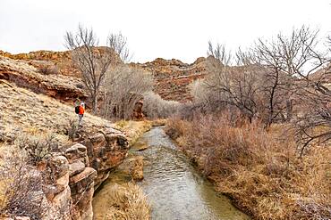 USA, Utah, Escalante, Woman hiking along Escalante River in Grand Staircase-Escalante National Monument