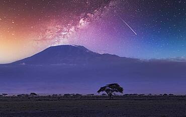 Africa, Kenya, Milky way and falling star over Mount Kilimanjaro in Amboseli National Park