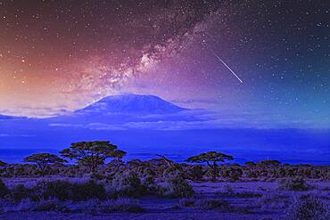 Africa, Kenya, Milky way and falling star over Mount Kilimanjaro in Amboseli National Park