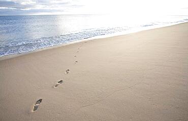 USA, Massachusetts, Cape Cod, Nantucket Island, Footprints on empty beach