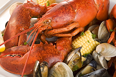 Still life of lobster and clams