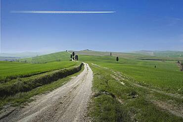 Italy, Tuscany, Val D'Orcia, Dirt road crossing green fields